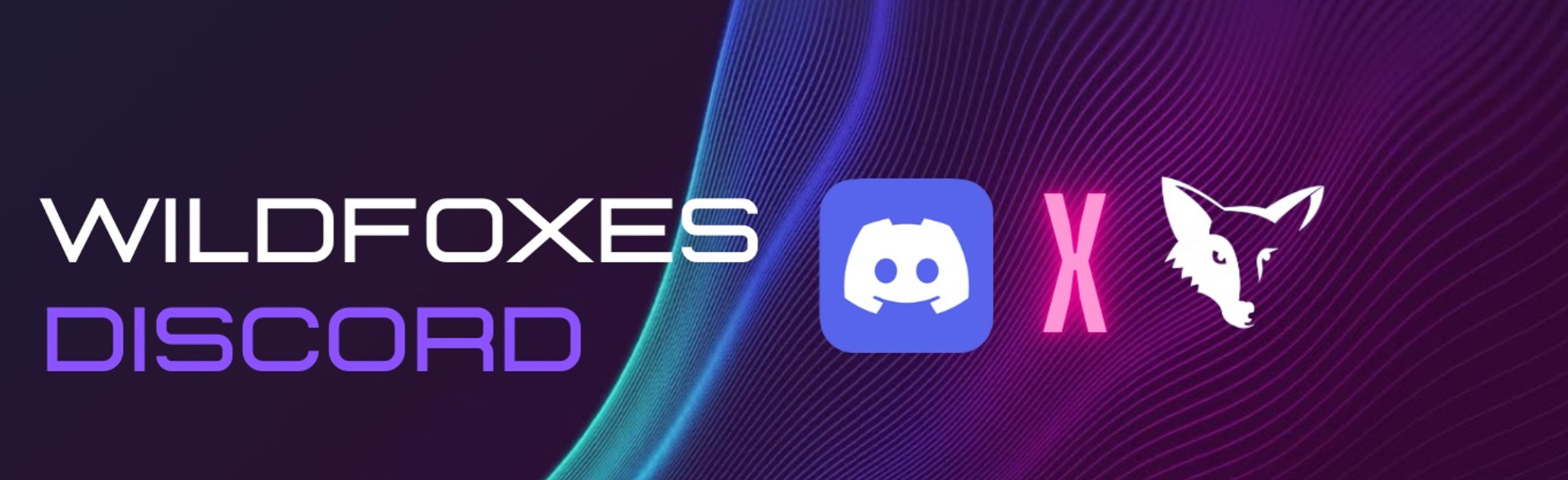 Wild Foxes x Discord